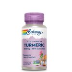 Turmeric Root Extract 300mg 60 Caps