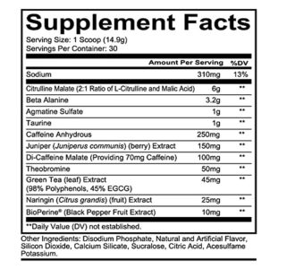 Redcon1 Total War - Pre Workout Tigers Blood Flavor - Image 2